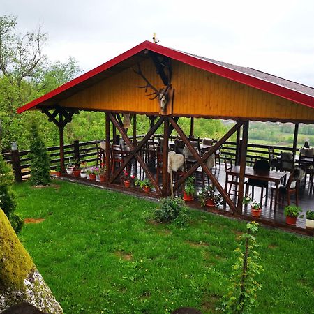 Hotel Pensiunea La Maria Lu' Sandoiu à Poenari Extérieur photo