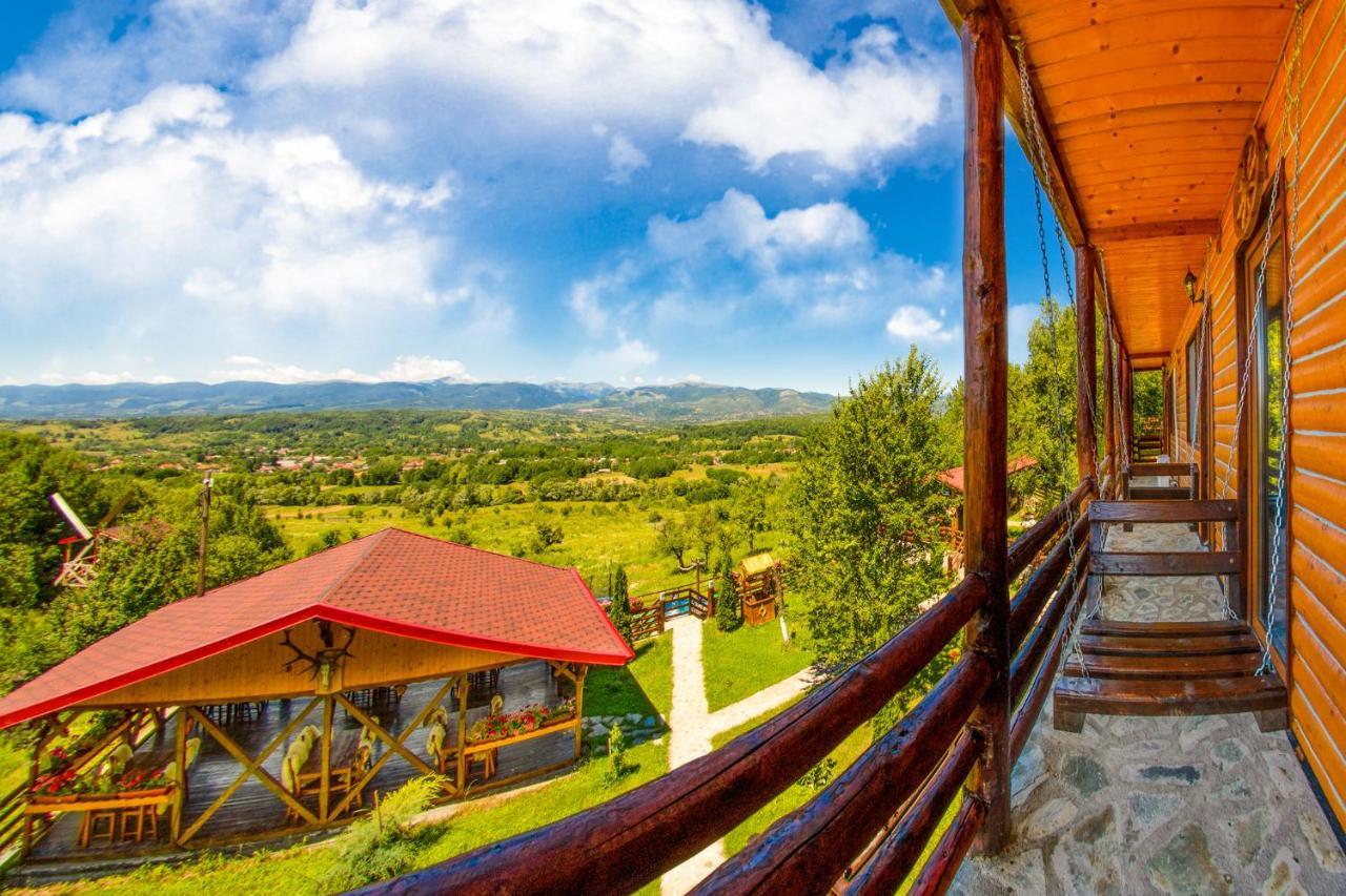 Hotel Pensiunea La Maria Lu' Sandoiu à Poenari Extérieur photo