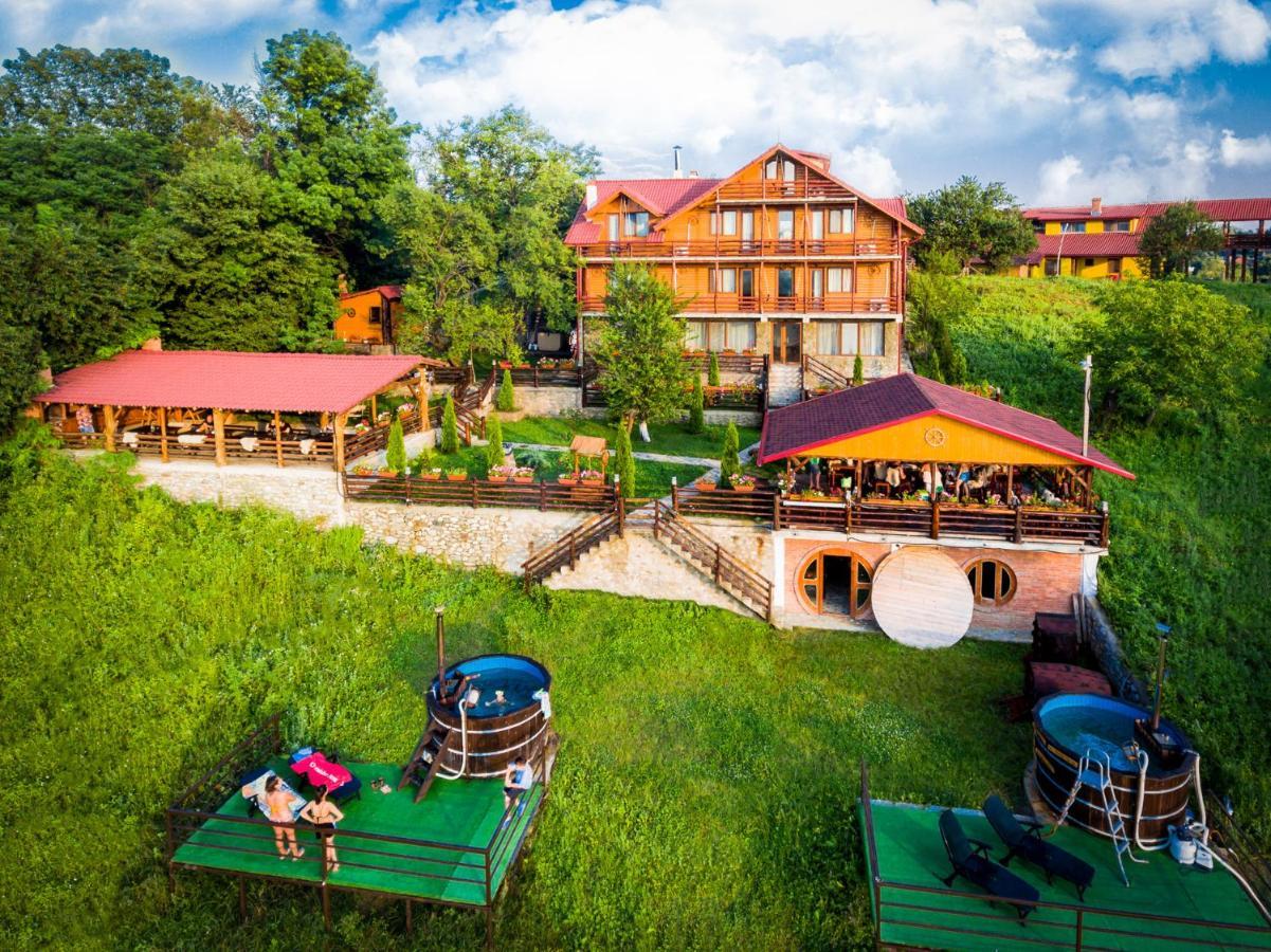 Hotel Pensiunea La Maria Lu' Sandoiu à Poenari Extérieur photo