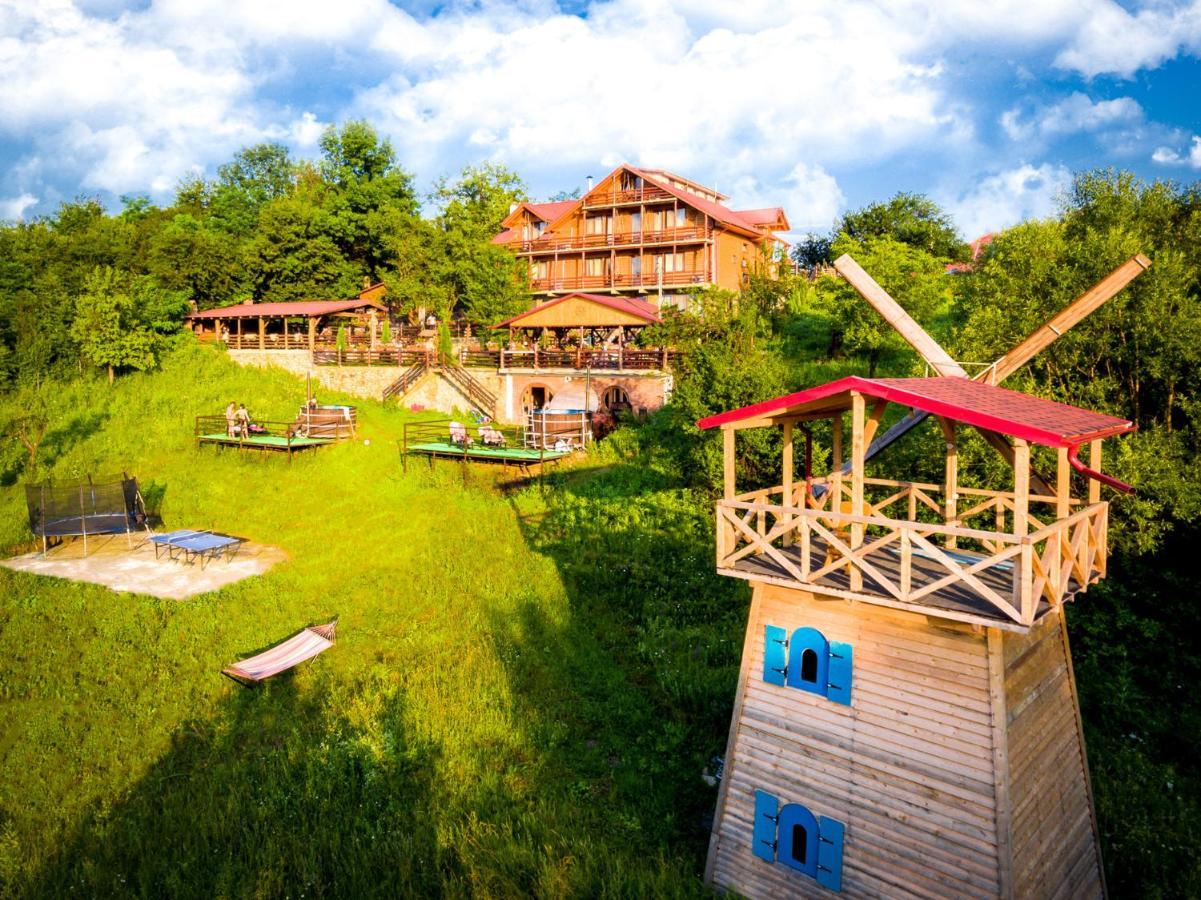 Hotel Pensiunea La Maria Lu' Sandoiu à Poenari Extérieur photo