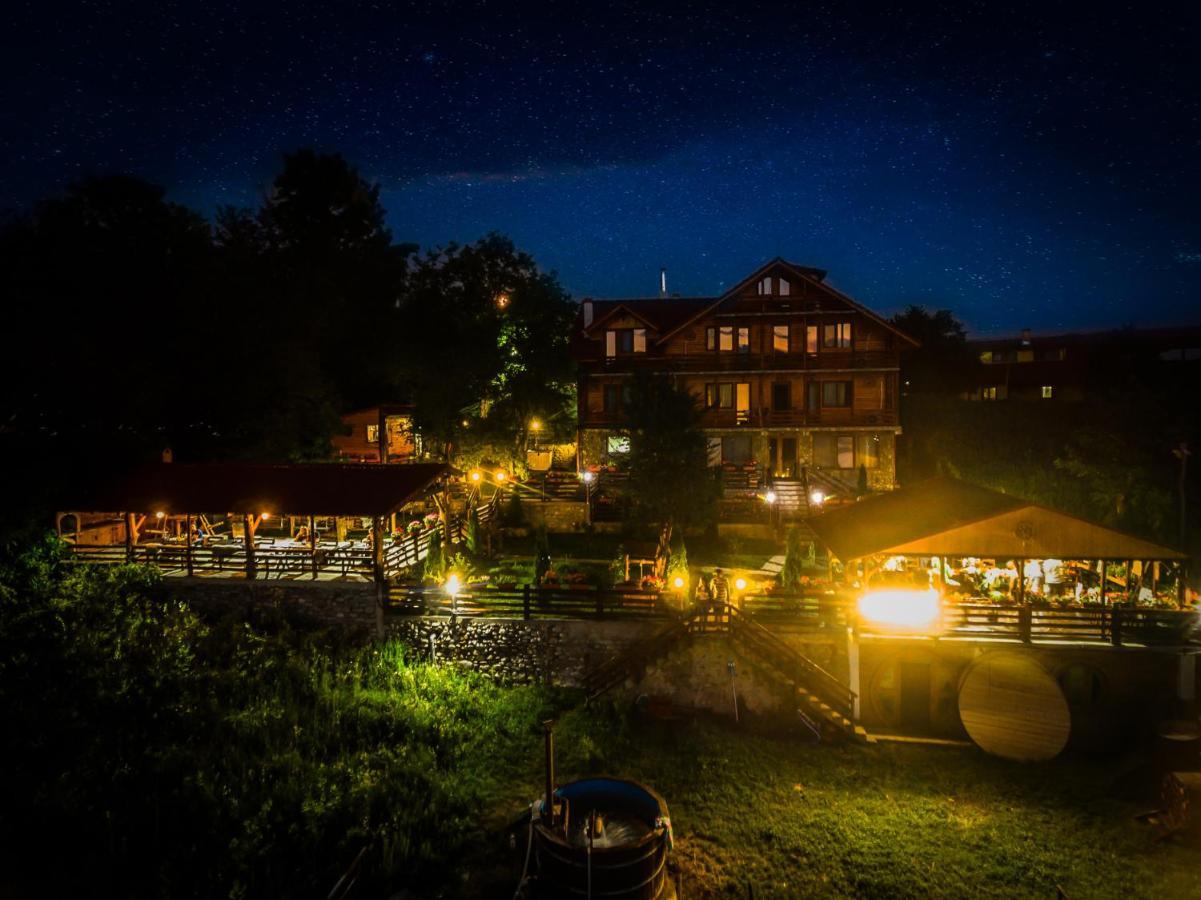 Hotel Pensiunea La Maria Lu' Sandoiu à Poenari Extérieur photo