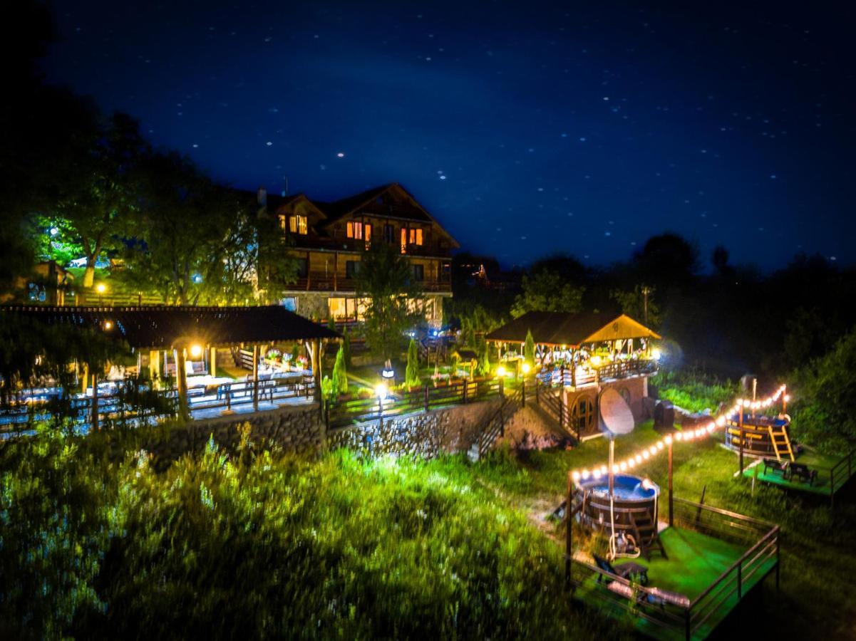Hotel Pensiunea La Maria Lu' Sandoiu à Poenari Extérieur photo
