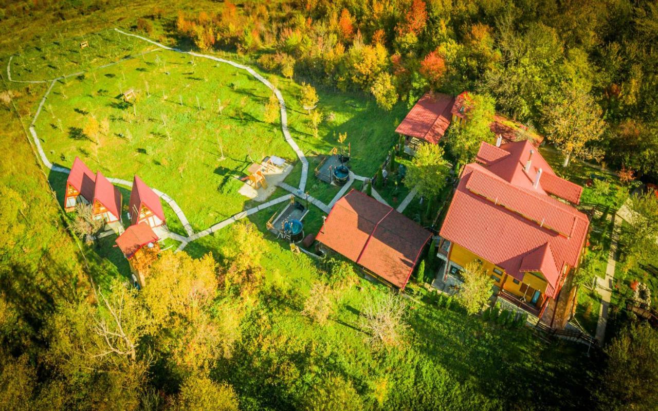 Hotel Pensiunea La Maria Lu' Sandoiu à Poenari Extérieur photo