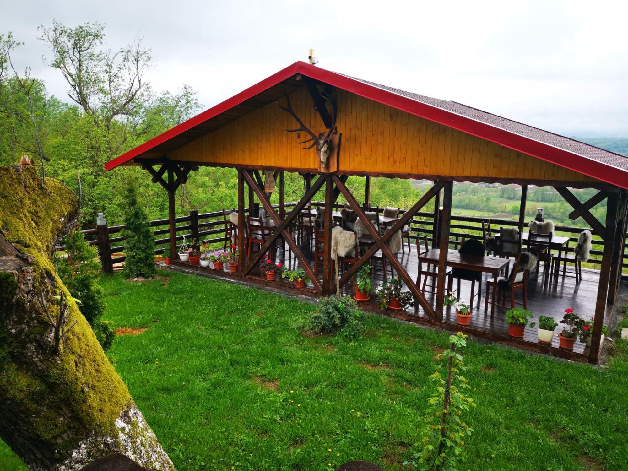 Hotel Pensiunea La Maria Lu' Sandoiu à Poenari Extérieur photo