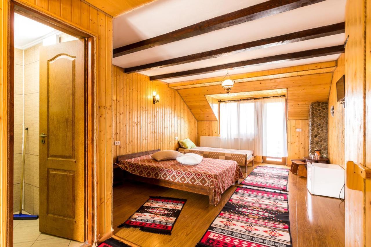 Hotel Pensiunea La Maria Lu' Sandoiu à Poenari Extérieur photo