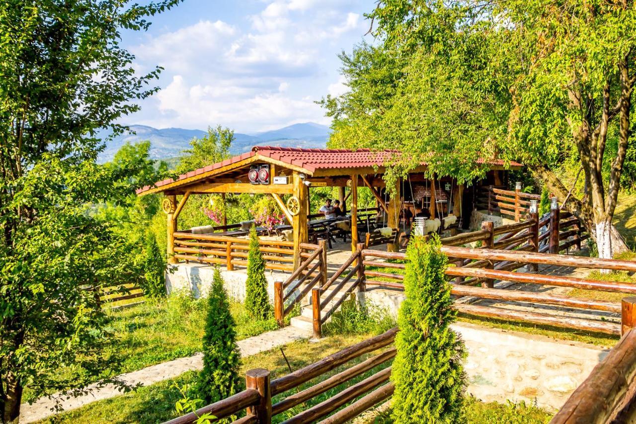 Hotel Pensiunea La Maria Lu' Sandoiu à Poenari Extérieur photo