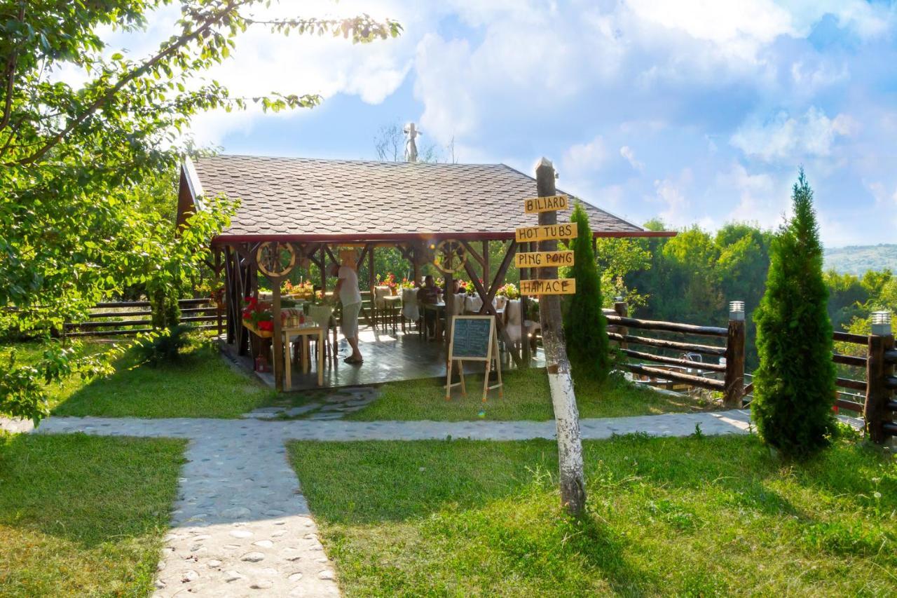 Hotel Pensiunea La Maria Lu' Sandoiu à Poenari Extérieur photo